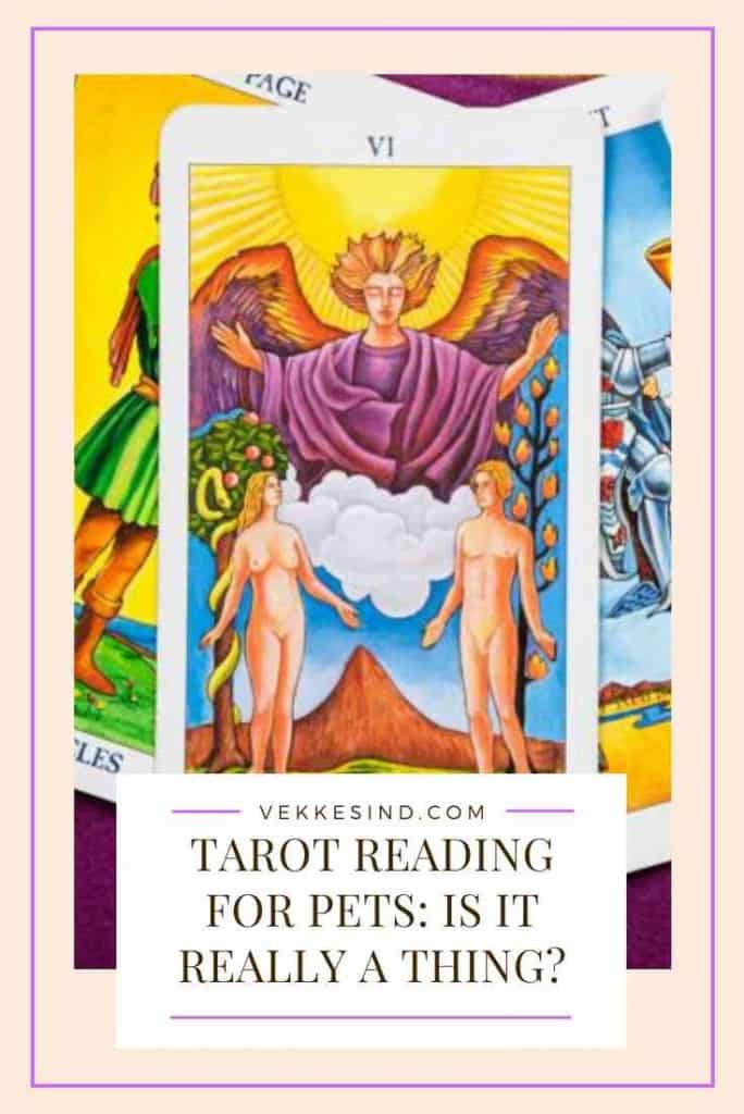 Tarot Reading for Pets, Is it Really a Thing