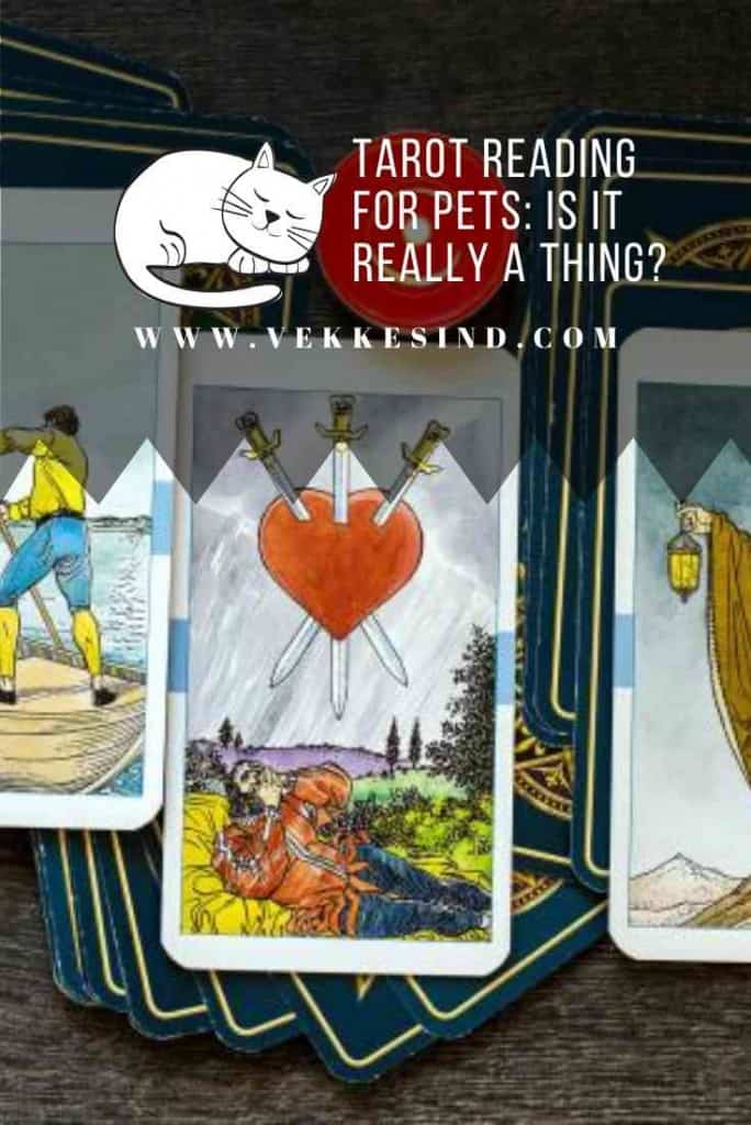 Tarot Reading for Pets, Is it Really a Thing