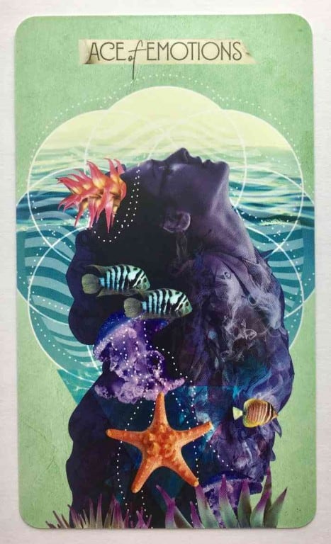The Ace of Cups, an oracle rendering of the suit's emotional source, a face tilted up toward water and sea life