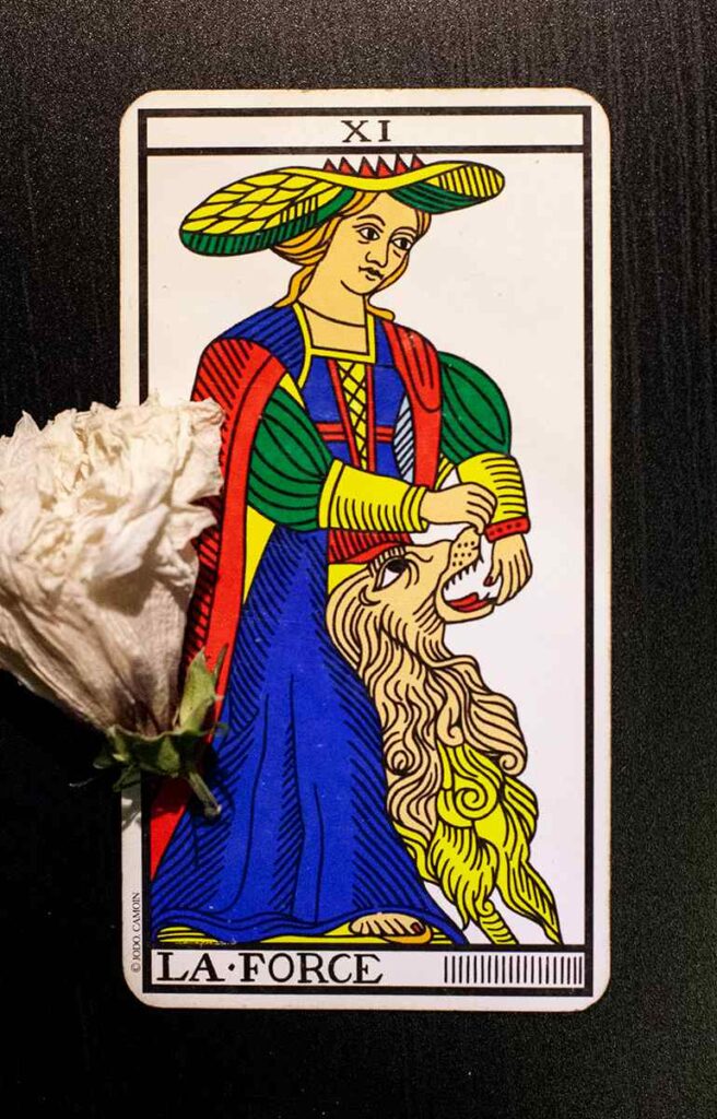 Strength Tarot Card Meaning - 35 Interpretations!