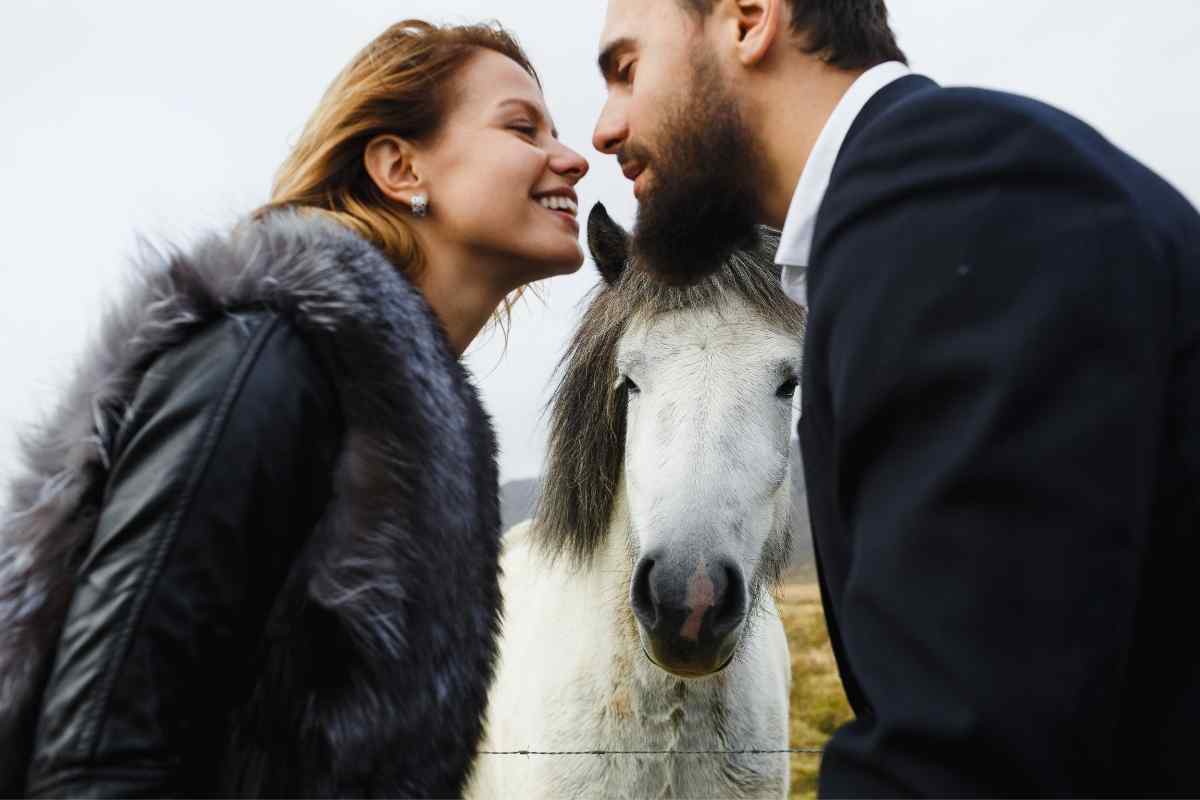 Sagittarius man in an open environment, purposeful and direct